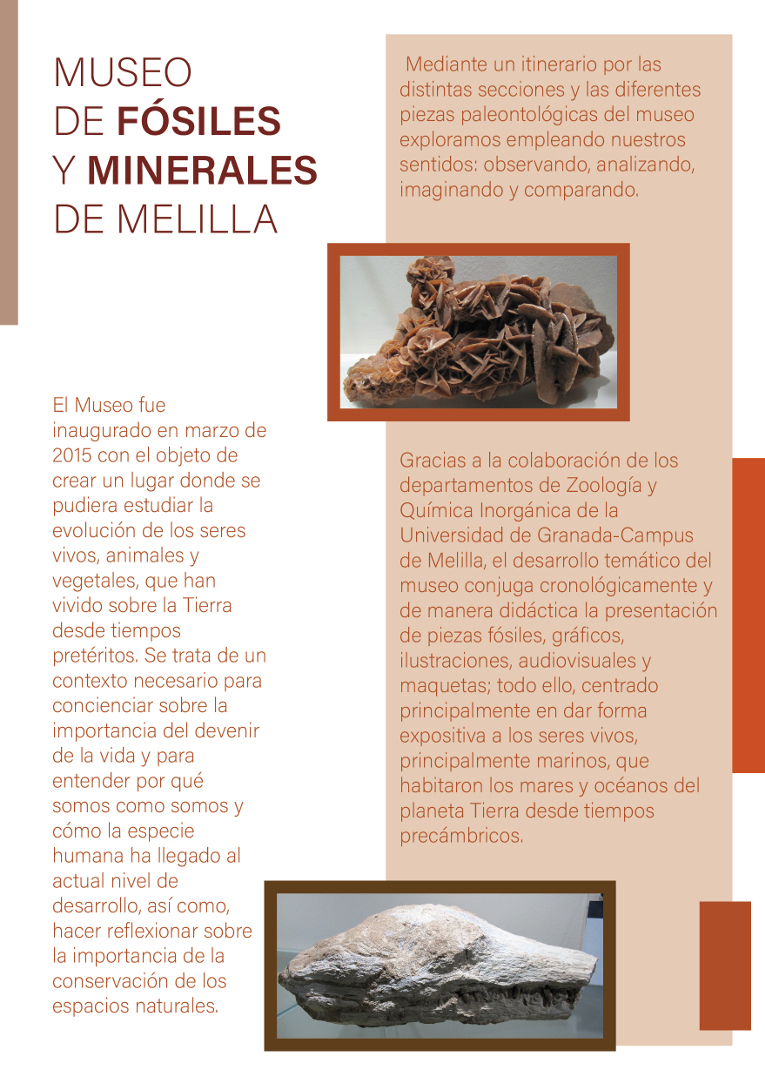 díptco_museo_fósiles_y_minerales_2